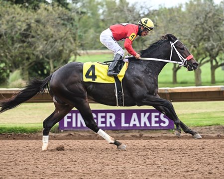 D I Wire wins the Aspirant Stakes at Finger Lakes
