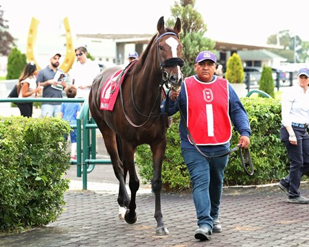 E. P. Taylor Stakes winner Gimme a Nother