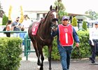 Gimme a Nother (SAF) wins the 2026 E. P. Taylor Stakes at Woodbine