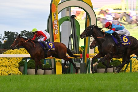 Going to Sky, ridden by Yutaka Take, wins the Kikuka Sho at Kyoto Racecourse