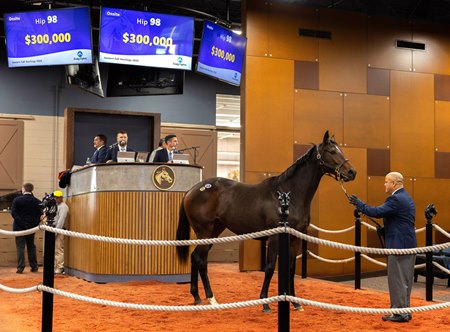 The Cody's Wish filly consigned as Hip 98 in the ring at the Fasig-Tipton Eastern Fall Yearlings Sale