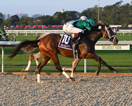 Racing on the Tapeta surface at the new Belmont Park