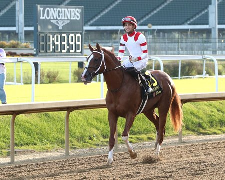 Jas after winning the Street Sense Stakes at Churchill Downs