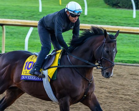 Sovereignty trains for the Breeders' Cup at Keeneland