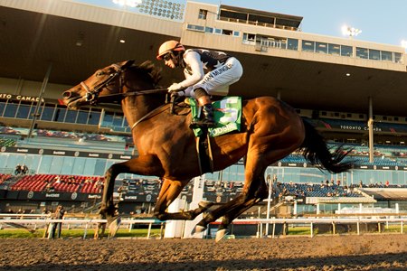 Quadruple wins the Ontario Fashion Stakes at Woodbine