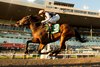Quadruple (GB) wins the 2026 Ontario Fashion Stakes at Woodbine
