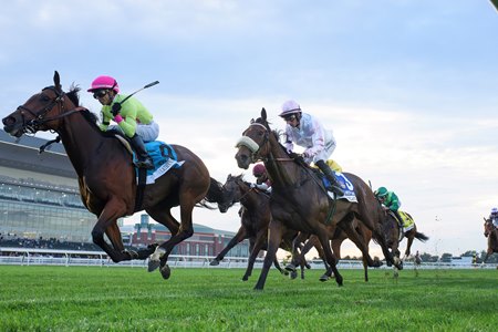 Kathynmarissa wins the Flower Bowl Stakes at Belmont Park