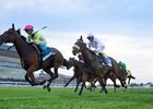 Kathynmarissa wins the 2026 Flower Bowl Stakes at Belmont Park