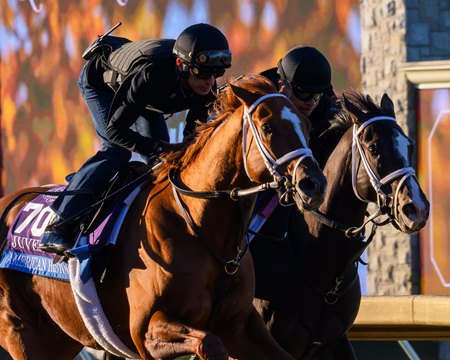 American History, outside, edges past stablemate Damavand in an Oct. 23 work at Keeneland