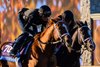 (L-r): American History and Damavand working
Breeders’ Cup contenders and training scenes at Keeneland in Lexington, Ky., on Oct. 23, 2026. 