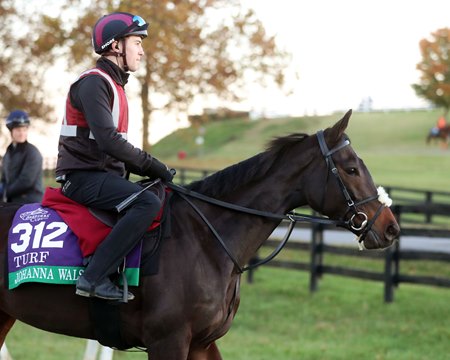  Johanna Walsh  prepares to train at Keeneland
