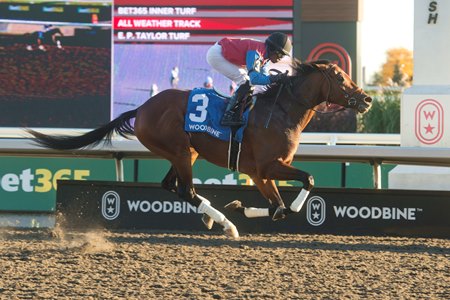 Fire and Wine wins the Ontario Derby at Woodbine
