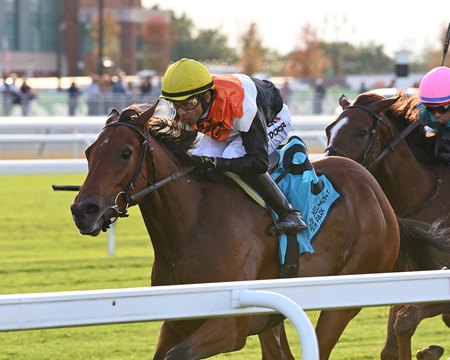 Third Coast wins the Hill Prince Stakes at Belmont Park