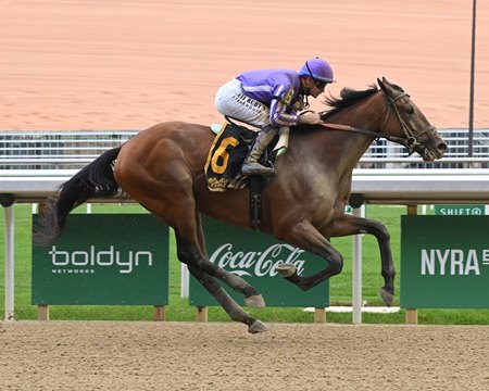 Nevada breaks his maiden at Belmont Park