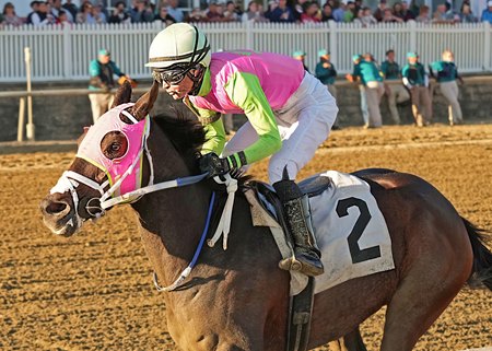 Barbadian Runner wins the Maryland Million Classic Stakes at Laurel Park