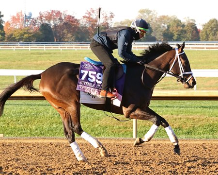 Revenge of the Sis Oct. 25 at Keeneland