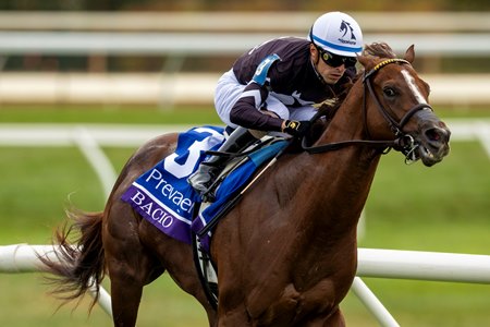 Bacio wins the Breeders' Cup Turf Sprint at Keeneland