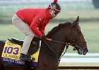 Golden Tempo - Gallop - Keeneland Race Course - 102726