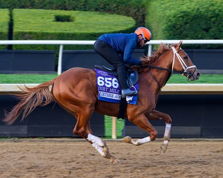 Further Ado trains at Keeneland