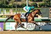 Hughes and jockey Juan Hernandez win the Grade I, $300,000 American Pharoah Stakes, Saturday, October 3, 2026 at Santa Anita Park, Arcadia CA.
© BENOIT PHOTO