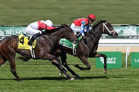 Racing at Belmont Park
