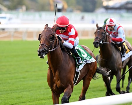 Minaret Station wins the Joe Hirsch Turf Classic Stakes at Belmont Park