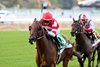Minaret Station wins the 2026 Joe Hirsch Turf Classic Stakes at Belmont Park