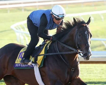 Sovereignty gallops Oct. 27 at Keeneland