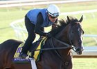 Sovereignty - Gallop - Keeneland Race Course - 102726
