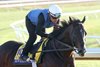 Sovereignty - Gallop - Keeneland Race Course - 102726