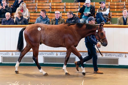 The Night of Thunder colt consigned as Lot 409 in the ring at the Tattersalls October Yearling Sale