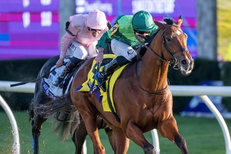 Haffner wins the Breeders’ Cup Juvenile Turf at Keeneland