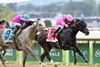 T Kraft wins the 2026 Vosburgh Stakes at Belmont Park