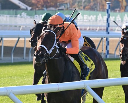 Ground Support wins the Glen Cove Stakes at Belmont Park