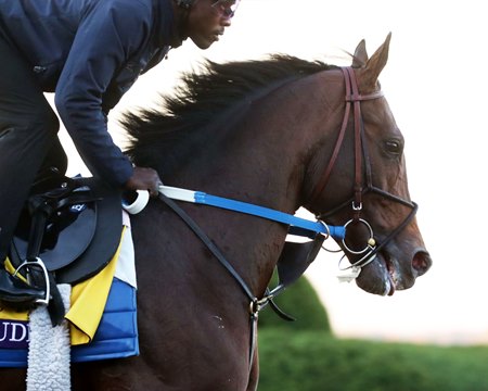 Magnitude is entered in the Breeders' Cup Classic