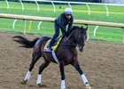 Sovereignty - Gallop - KEE - 102426