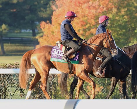 Connections Think Benvenuto Cellini Can Improve in Turf