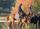 Benvenuto Cellini - Gallop - Keeneland Race Course - 102726