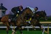 Golden Tempo inside working
Breeders’ Cup contenders and training scenes at Keeneland in Lexington, Ky., on Oct. 23, 2026. 