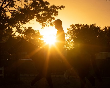 Forever Young earlier this month at Belmont Park