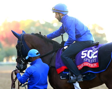 Dark Saffron at Keeneland