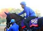 Dark Saffron - Gallop - Keeneland Race Course - 102626