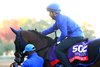 Dark Saffron - Gallop - Keeneland Race Course - 102626