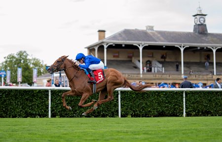 Musical Times wins the May Hill Stakes at Doncaster Racecourse