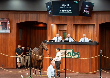 The Girvin filly consigned as Hip 12 in the ring at the OBS October Yearling Sale