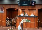 Hip 12, 2026 OBS October Sale