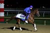 Notable Speech - Gallop - Keeneland - 10-27-26