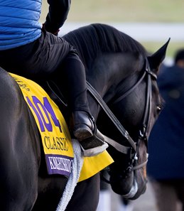 Knightsbridge eyes success in the Breeders' Cup Classic at Keeneland