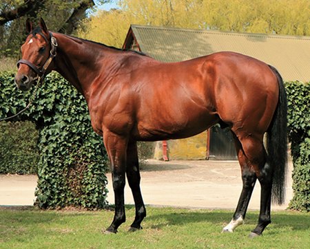 Sir Prancealot