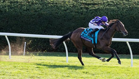 Four-time grade/group 1 winner Sun Goddess is a daughter of Sioux Nation, a son of Scat Daddy